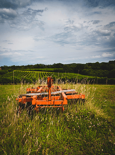 landscape, south-west of France, vineyard, some king of farm machine